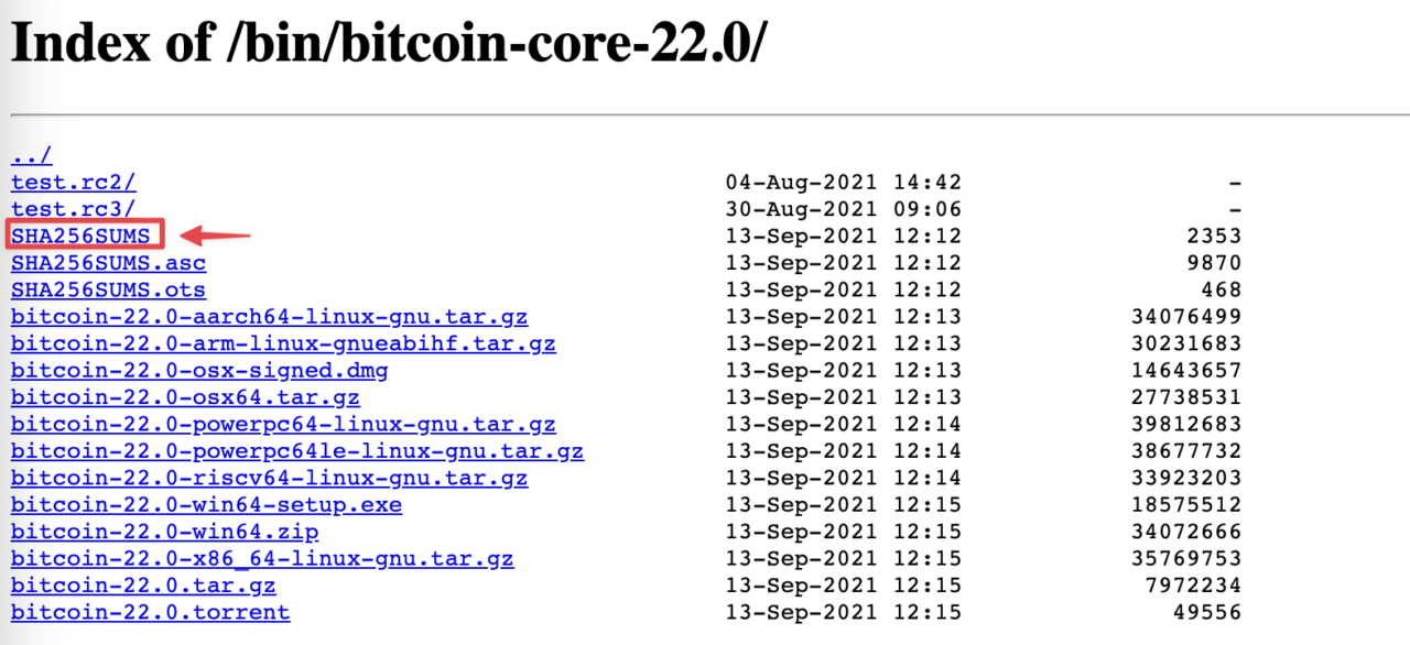 如何搭建 Bitcoin Core 比特币全节点 - 王一石